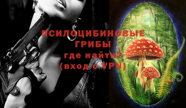 спайс Алексин