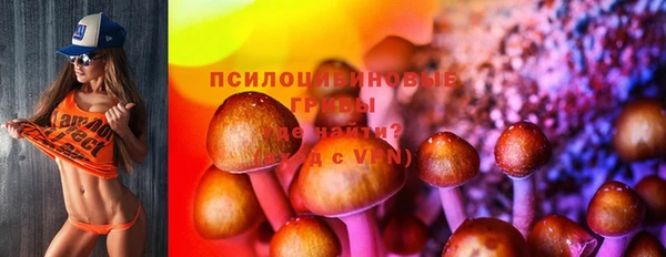 спайс Алексин
