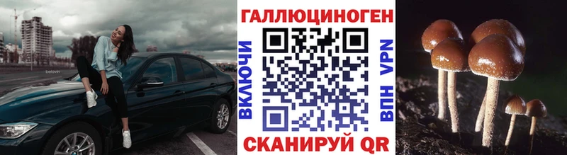 Псилоцибиновые грибы Cubensis цены наркотик площадка клад Заинск